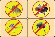 ɽ����������������